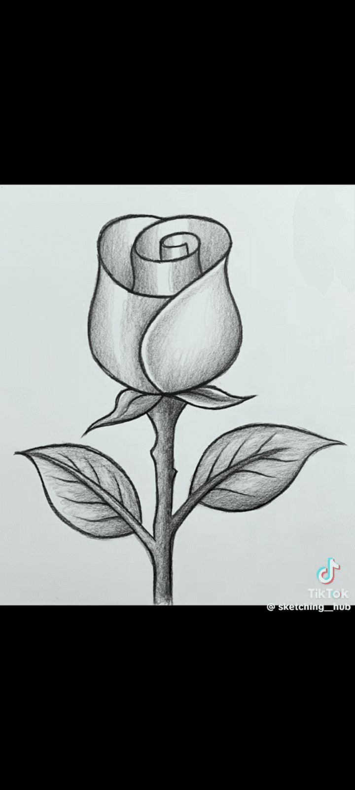 Pencil Art